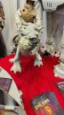 Clermont-Geek-Convention-014.jpg