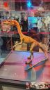 expo-cusset-2025-04-036.jpg