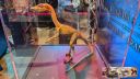 expo-cusset-2025-04-037.jpg